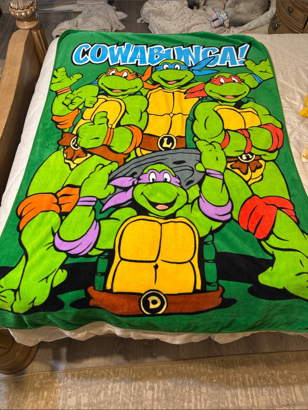 Teenage Mutant Ninja Turtles Green Plush Throw Blanket - Nick